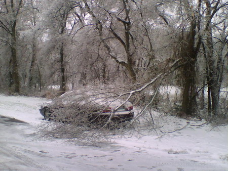 snow damage